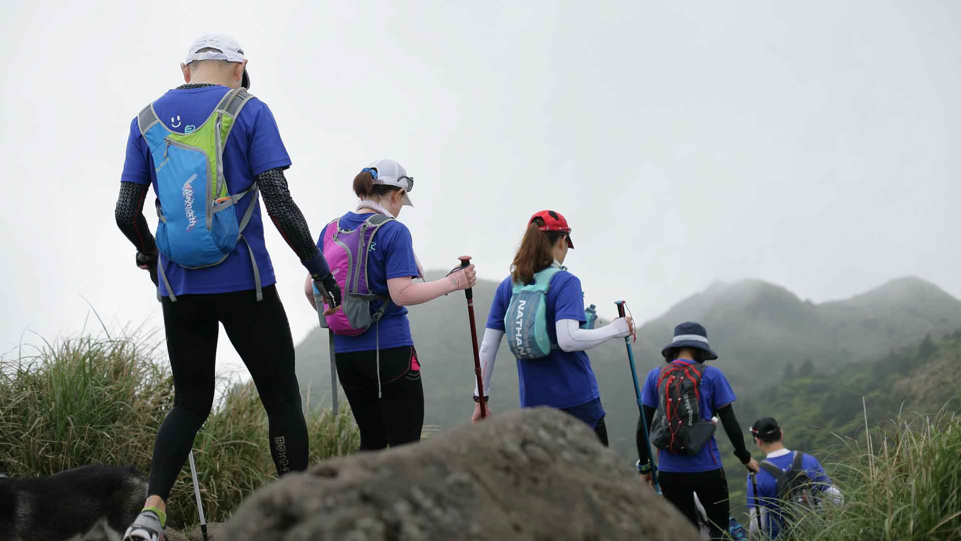 Visa Assistance Image